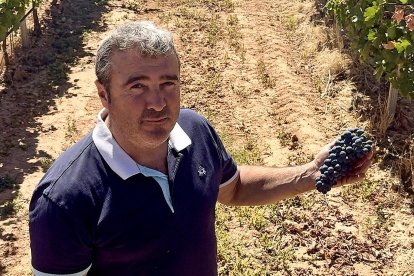 El gerente de viñedos y bodegas De Postín, Agustín Postigo, en su finca de Zayas de Báscones.