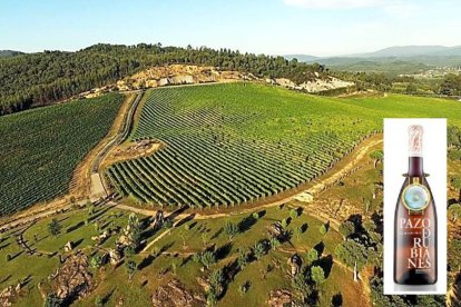 Vista aérea de una de las fincas del Pazo de Rubianes, en la pontevedresa Villagarcía de Arosa, y una de las cuatro referencias de la bodega.