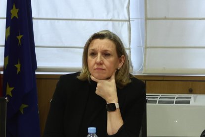 La vicepresidenta de la Junta y consejera, Isabel Blanco, participa por videoconferencia en la Conferencia Sectorial de Igualdad