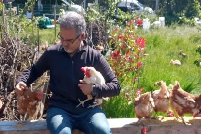 Javier Saiz recibirá el nuevo lote de 980 gallinas.