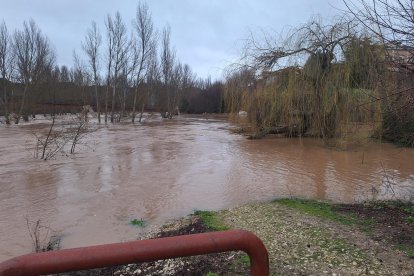 El río Duero a su paso por Pesquera de Duero