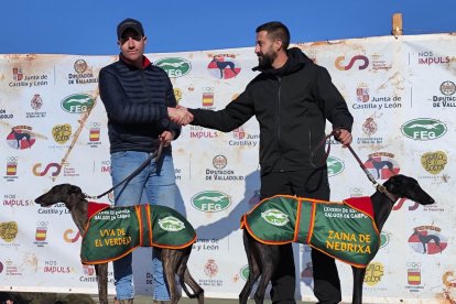 Final del nacional de galgos en campo en Nava del Rey