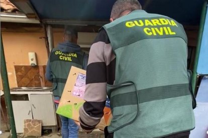 La Guardia Civil en al intervención de las aves sustraídas