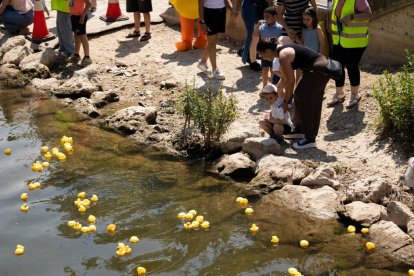 Carrera de patos de goma en el Esgueva