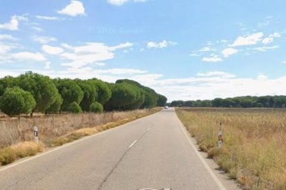 VP-2302 entre Tudela y Montemayor