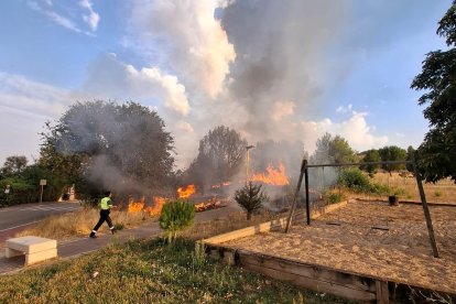 Incendio de unos rastrojos en Arroyo (Valladolid).