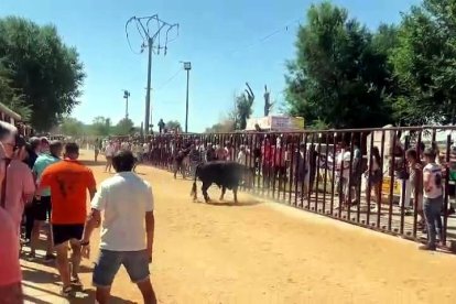 El encierro de los tres novillos transcurrió si incidentes en Serrada (Valladolid).-PHOTOGENIC