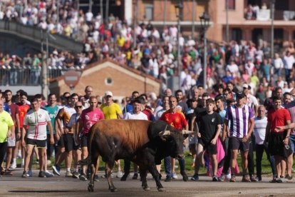 Toro de la Vega 2026