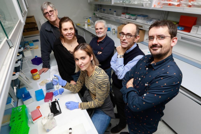 Investigadores participantes en la investigación en las instalaciones del IBGM de Valladolid.-JUAN MIGUEL LOSTAU