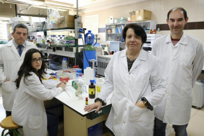 Componentes del grupo de investigación de la Universidad de Salamanca en uno de los laboratorios de la institución.-ENRIQUE CARRASCAL