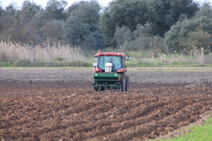Un trabajador realiza labores de siembra de patata en una parcela de la Comunidad, donde se concentra el 40% de la producción nacional.-N. F.