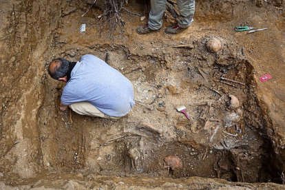 El arqueólogo Julio del Olmo limpia paret de los restos hallados en la primera fosa.-MIGUEL ÁNGEL SANTOS