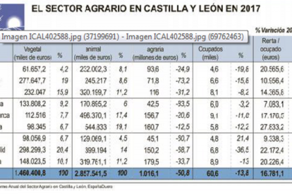 El sector agrario en Castilla y León en 2017-ICAL