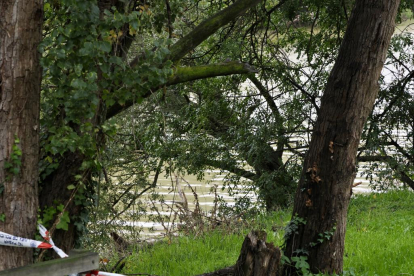 Zona del Camino del Cabildo, junto al río Pisuerga, donde la Policía Nacional ha encontrado  en el río al anciano desaparecido desde el jueves. -PHOTOGENIC