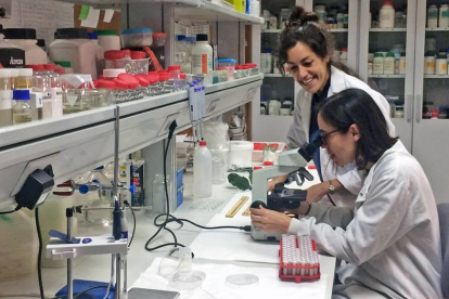 Aida Rodríguez y Rosa Ana López, en el laboratorio de la Universidad Politécnica de Madrid. E.M.
