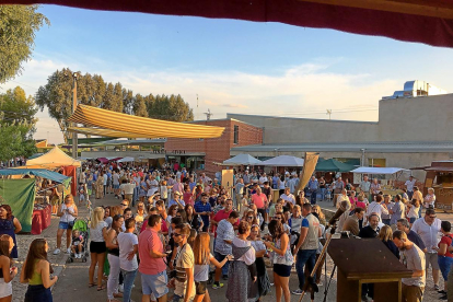 Una multitud de gente durante el pregón de la fiesta de la vendimia del municipio vallisoletano de Serrada.-E.M.