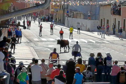 Imagen del primer encierro en Nava del Rey.-AYTO. NAVA DEL REY