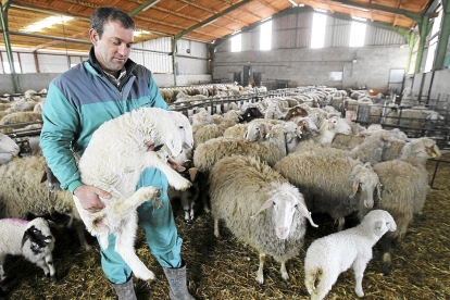 Un ganadero de ovino entre sus ovejas en una explotación de la localidad segoviana de Fuente el Olmo.-J. M. LOSTAU