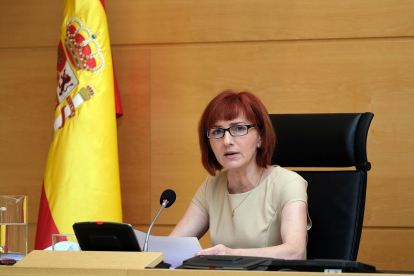 La directora de Profesionales de la Gerencia Regional de Salud, Mercedes Pérez de Miguel. - ICAL