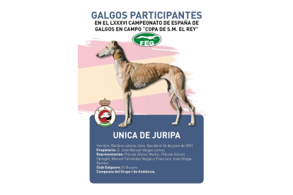 Única de Juripa, de Andalucía. / RFEG