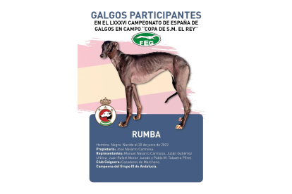 Rumba, de Andalucía. / RFEG
