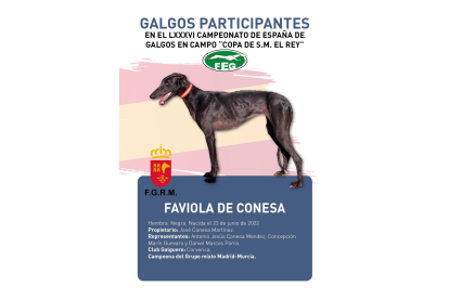 Faviola de Conesa, de Murcia. / RFEG