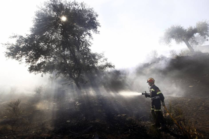 Medios terrestres y aéreos trabajan en un incendio en un Fuentes de Oñoro-Ical