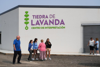 Campos de lavanda y centro de interpretación en la localidad vallisoletana de Tiedra. M. LOSTAU