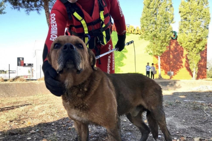 Uno de los bomberos, junto al perro en el momemto de ser rescatado.-E. P.