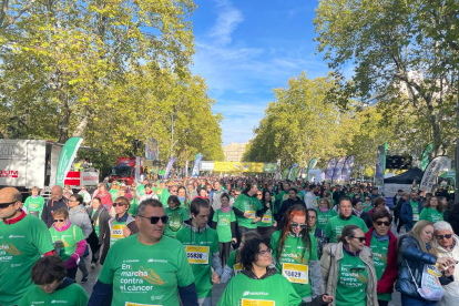 XI Marcha 'Valladolid contra el cáncer'.- E. M.