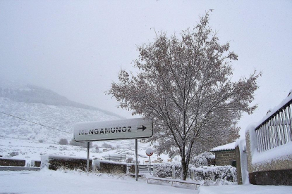 Coto de Mengamuñoz totalmente nevado el último año que se aplazó el regional de caza.-L.F.