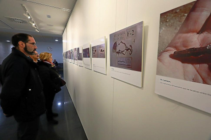 Varios visitantes contemplan algunas de las fotografías de la exposición.-PABLO REQUEJO / PHOTOGENIC
