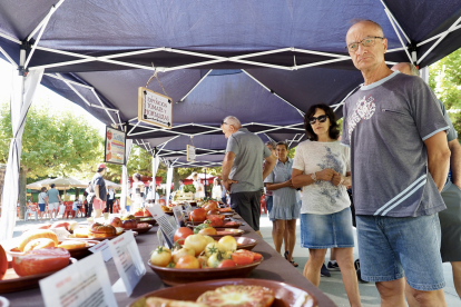 Feria del Tomate de Tudela de Duero.- PHOTOGENIC / SERGIO BORJA