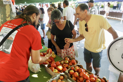 Feria del Tomate de Tudela de Duero.- PHOTOGENIC / SERGIO BORJA