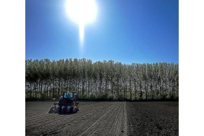Un agricultor realizando sus labores con el tractor en un campo de cultivo en Salamanca.-ENRIQUE CARRASCAL