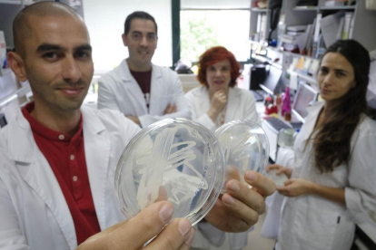 Raúl Rivas, José David Flores, Mª Encarnación Velázquez y Paula García en las instalaciones de la Universidad de Salamanca.-ENRIQUE CARRASCAL