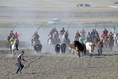 Los caballistas, bajo la supervisión de Pepe Mayoral, conducen a los bravos y mansos hacia las calles de Montemayor de Pilillla.-JOSÉ SALVADOR