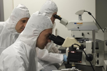 Varios investigadores observan a través del microscopio láminas de grafeno.-ENRIQUE CARRASCAL