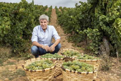 El bodeguero José Moro en su viñedo de Valderramiro, con los tradicionales cestos de uva.-EL MUNDO