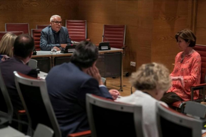 López Agudín, en el Congreso, este martes-EFE / SANTI DONAIRE