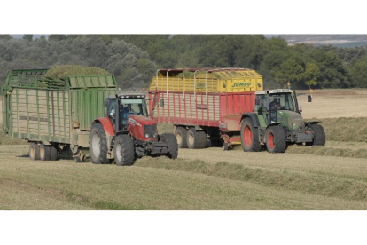 Dos tractores en el campo palentino con carros para recoger la alfalfa que después se deshidrata en Profopal.-G. T.