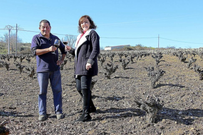 Emilio Gallego y Silvia Pascual brindan en una viña situada junto a la bodega.-J.L.C.