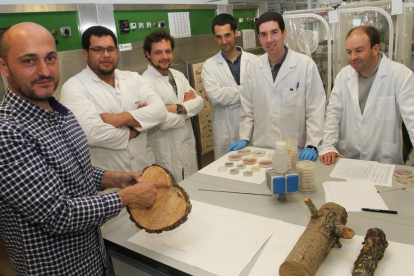 Miembros del grupo de investigación que lidera el proyecto para salvar los pinares.-MANUEL BRÁGIMO
