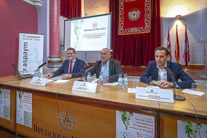 Julio Herrero, Jesús Julio Carnero y Conrado Íscar ayer, en la presentación de las jornadas.-E. M.