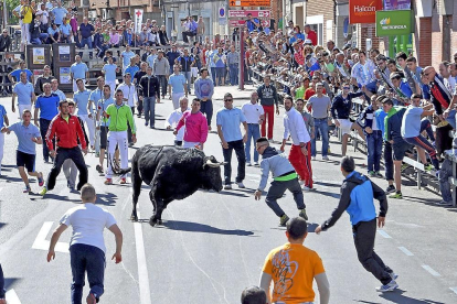 Numeroso público se congrega para asistir al Toro de la Feria de Medina del Campo en una edición anterior.-S. G. C.