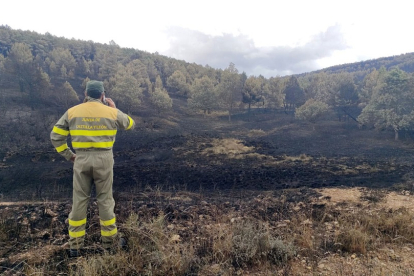 Incendio en la Sierra de la Culebra en Zamora. - ICAL