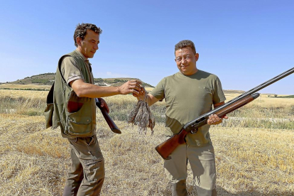 Dos cazadores muestran las codornices abatidas en la jornada que abrió la media veda.-ICAL