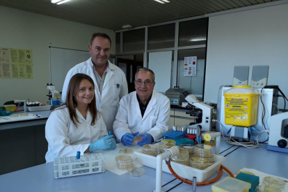 Sonia Martínez, César B. Gutiérrez y Rafael Frandoloso en las instalaciones de la Universidad de León.-EL MUNDO