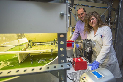 Los investigadores Raúl Muñoz y Celia Pérez en las instalaciones de la Universidad de Valladolid.-PHOTOGENIC