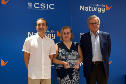 Fundación Naturgy otorga el Premio a la Investigación y la Innovación Tecnológica en el Ámbito energÉtico a un proyecto de captura y reducciÓn de CO2 del Instituto de BioeconomÍa de la Universidad de Valladolid.- ICAL